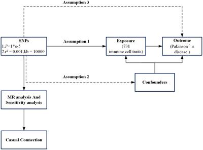 Association of immune cell traits with Parkinson’s disease: a Mendelian randomization study